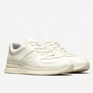 Everlane The Trainer Sneaker Size 7 New